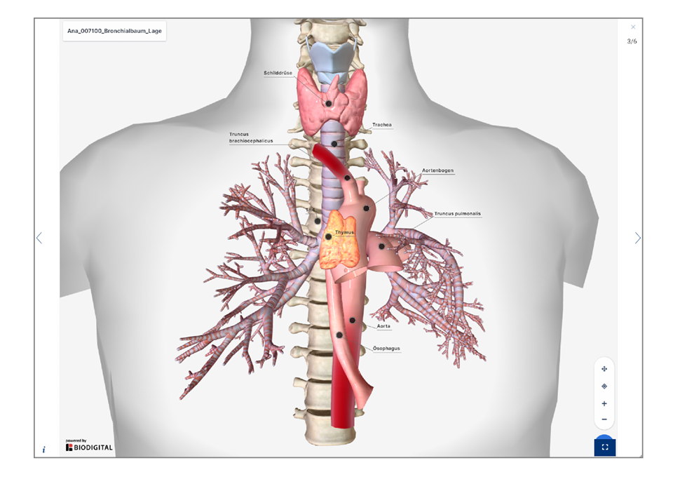 Landingpage_Dozenten_Screenshots_980x700_3D_Animation Landingpage_Dozenten_Screenshots_980x700_3D_Animation